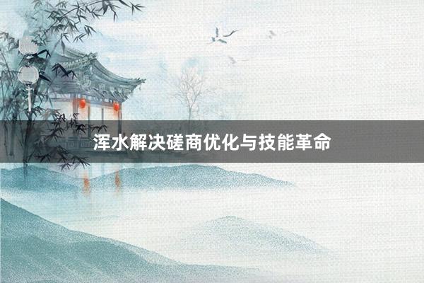 浑水解决磋商优化与技能革命