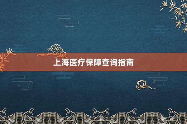 上海医疗保障查询指南