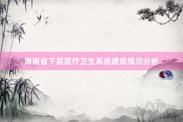 海南省下层医疗卫生系统建筑情况分析